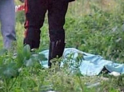 Под Волгоградом в лесу нашли обезображенные останки без вести пропавшего пенсионера