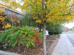 Утро вторника заставит волжан померзнуть