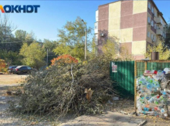 Волжская администрация выделила 600 тысяч рублей на вывоз листьев и сухостоя