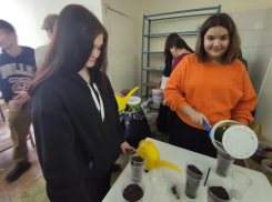 У суда пилим, за «Русинкой» сажаем: экологи готовят подарок на юбилей Волжского