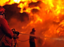 В пойме Волги неизвестный поджег 10 тонн сена