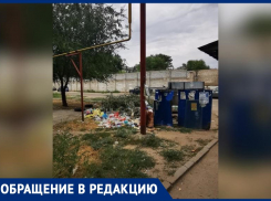 Двор превратился в гадюшник и свалку: больше месяца никто не вывозит мусор в Волжском