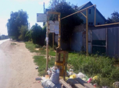 От годовых залежей мусора на остановке острова Зеленый завелись опасные крысы