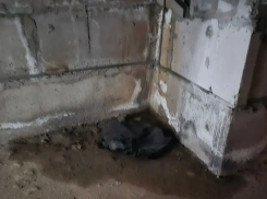 Жители дома в Волжском устали бороться с водой после каждого дождя
