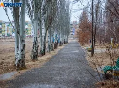 Мокрая субботу ждет волжан: прогноз погоды