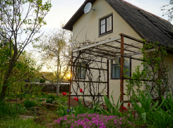 День дачника будет солнечным 