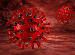 Вся правда о COVID-19: волжанам на заметку