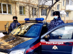 Криминальный дуэт: в Волжском девушки хотели стать краше бесплатно, но не вышло