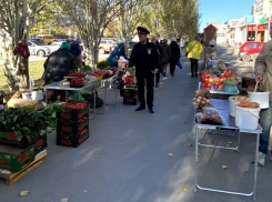 В Волжском штрафуют нелегальных продавцов