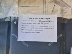 Проезд в маршрутных такси Волжского подорожает до 50 рублей с 21 апреля