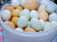 Подешевели или выросли в цене: почем нынче яйца для волжан