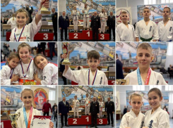 Волжане взяли призы на первенстве ЮФО по киокусинкай: юные бойцы вернулись с наградами