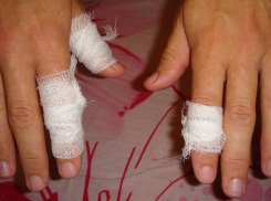 В Волгограде автомобилист укусил инспектора ДПС и получил год условно