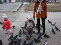 В Волжском продолжают выплаты родительского капитала