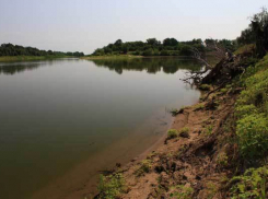 «Чистая пойма»: в Волгограде очистят от мусора берега Ахтубы