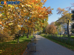 Суббота подарит волжанам хорошую погоду и замечательное настроение