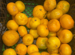 Продуктовая корзина недели: сравниваем цены на мандарины в магазинах Волжского 