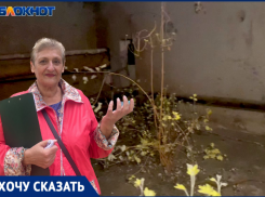 «Специалист УК кинула мое письмо мне в лицо», - жители Волжского о работе коммунальщиков