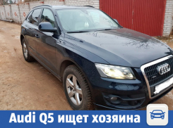 Шикарное авто Audi Q5 продолжило поиски нового владельца в Волжском