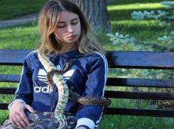 «Мой Тоша питается крысами», - хозяйка питона