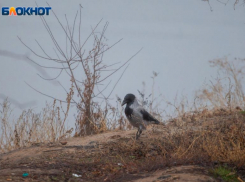 Пасмурное небо и туман: прогноз погоды в Волжском