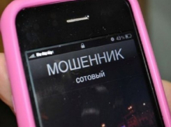 Пенсионер из Палласовского района попался на «разводку» телефонного мошенника