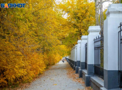 Туманно и холодно: прогноз погоды на воскресенье в Волжском