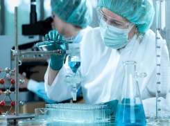 В Волжском построят фармакологический завод, где будут делать лекарства из сала и овечьей шерсти