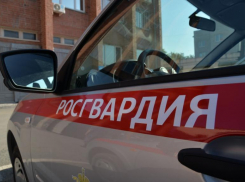 В Волжском задержали 19-летнюю девушку за кражу золота из ломбарда