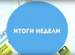 Итоги недели: жестокость к животным, волжане на ТВ и ремонт моста