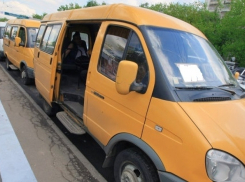 Волгоградские маршрутки будут работать в прежнем режиме