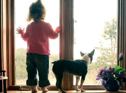 Волжских родителей призвали закрыть окна 