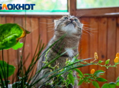 Солнечный четверг спрогнозировали волжанам