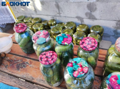 Волжанам повезет в ловле рыбы в Сысоев день