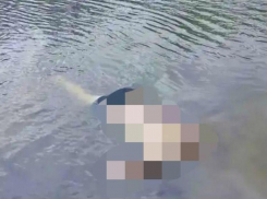 В Волгоградской области водолазы обнаружили и подняли тело погибшего