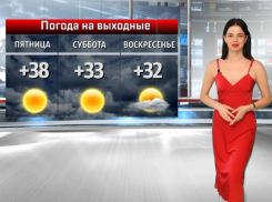 Юбки короче, топики меньше: в Волжский пришла знойная жара
