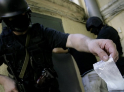 Волгоградская наркополиция в ходе спецоперации «Мак» изъяла 230 килограммов наркотиков