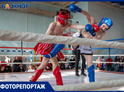 В Волжском состоялся грандиозный турнир по кикбоксингу: фоторепортаж