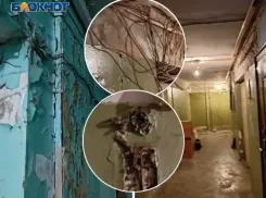 С обугленной проводкой и дырами в стенах еще 15 лет: в Волжском чиновники сообщили о сроках ремонта в общежитиях 