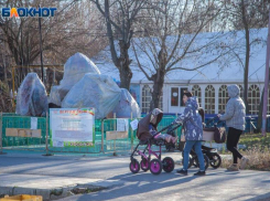 Амрита и Радмир против Андрея и Софии: как называли детей в 2022 году в Волжском