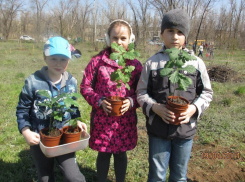 Дети превратили заброшенный участок рядом с ГПЗ в Волжском в парк «Счастье»