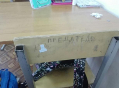 Одноклассники продолжили издевательства над честной пятиклассницей из волжской школы 32