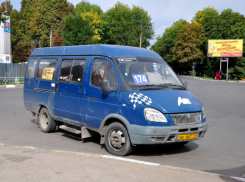 ФАС занялась проверкой законности «обрезания» волгоградских маршруток
