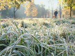 На выходных в Волгоградской области обещают заморозки до -9ºС