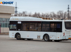 Волжане считают, что летом автобусы превращаются в «душегубку»