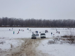 Сотни волжан приняли участие в массовом катании на коньках на озере Круглом 