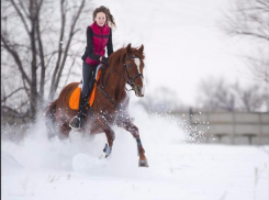 Не отбирайте у наших деток возможность общения с лошадьми, - волжане