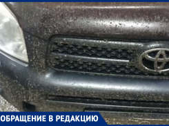«Мошки обглодали мой автомобиль»: волжанин рассказал о поездке в Астрахань