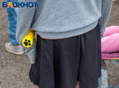 Родители коллективно пожаловались на заведующую детским садом в Волжском