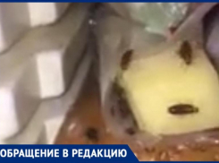 Толпы тараканов в холодильниках, лекарствах и постелях: антисанитарию в больнице Фишера в Волжском сняли на видео